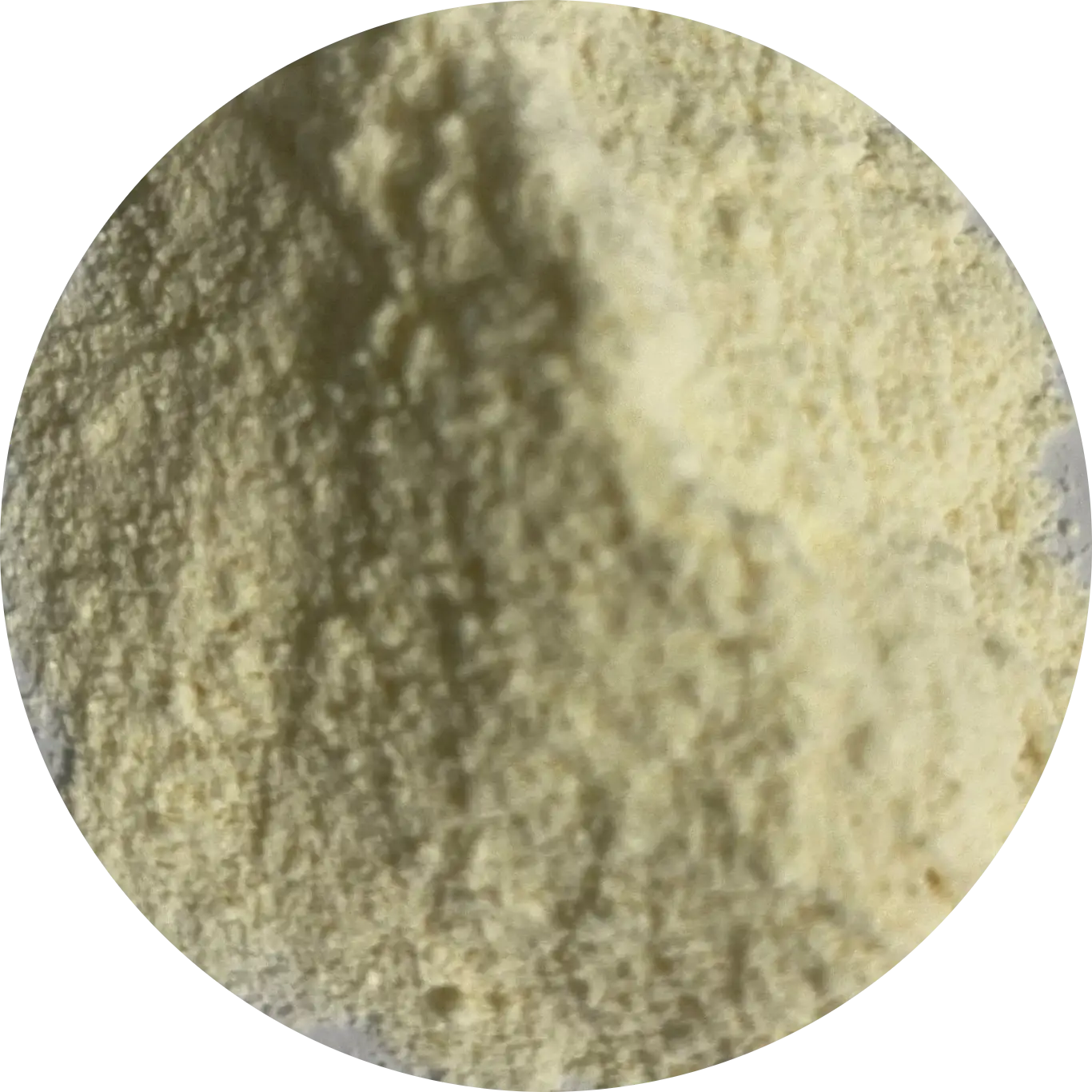 Advanced Probiotic Blend